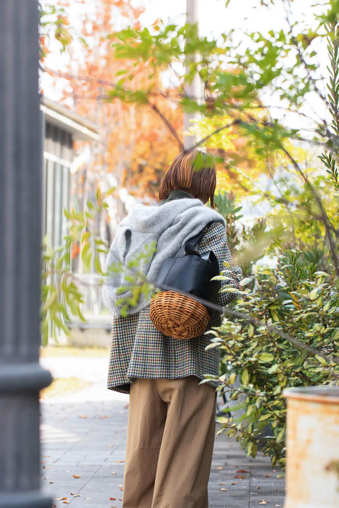 カフェモーニング soutiencollar